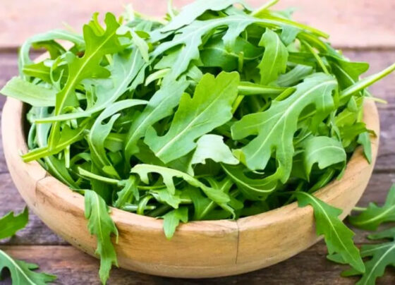 পেট ফাঁপা কমাতে কার্যকরী শাক, খাবার আগে খাওয়ার পরামর্শ