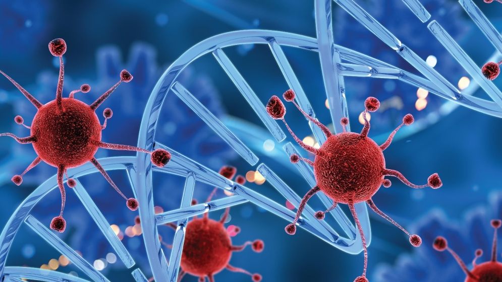 ক্যানসার চিকিৎসায় নতুন পদ্ধতি উদ্ভাবন করেছেন গবেষকরা