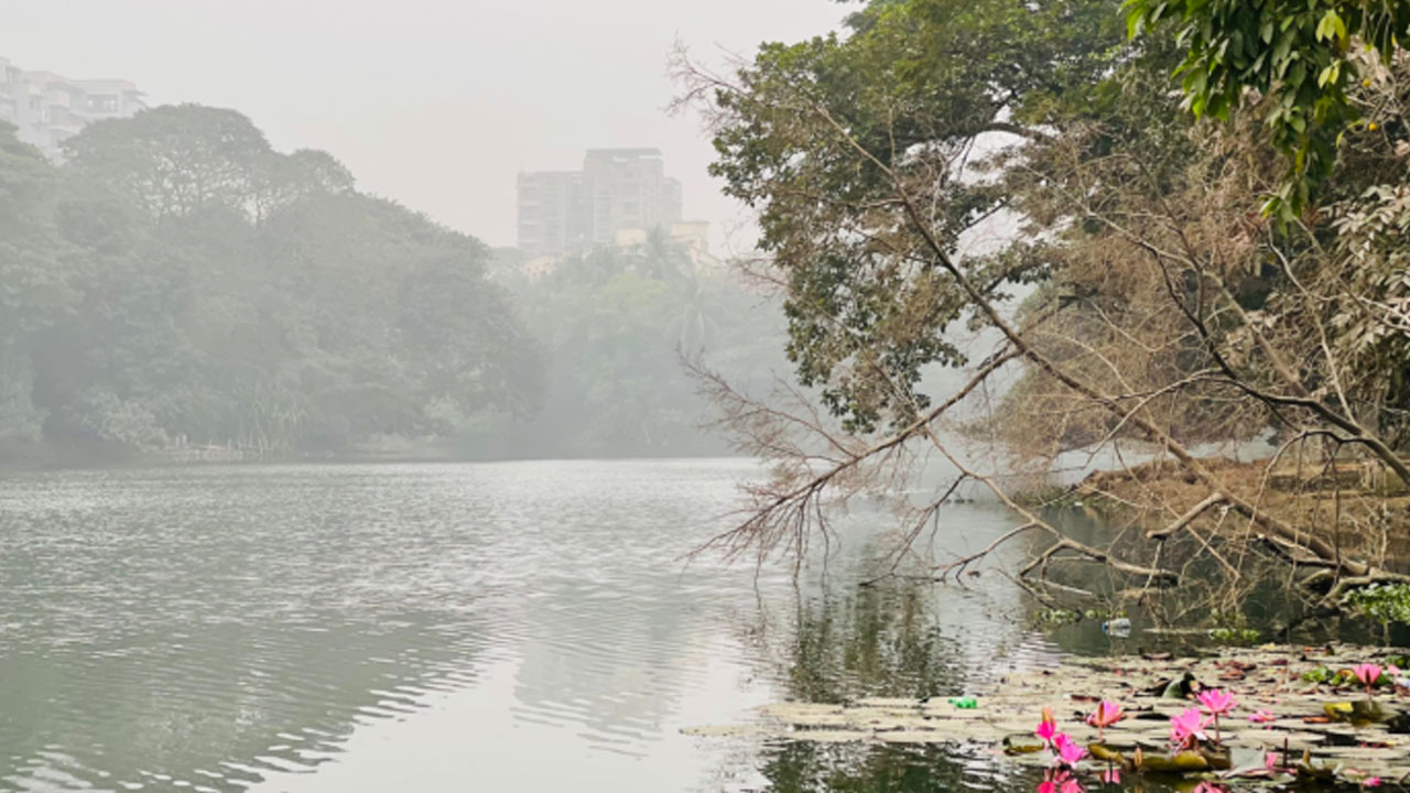 ঢাকায় শীতের তীব্রতা ও কুয়াশার পূর্বাভাস