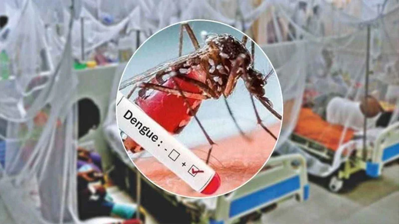 ডেঙ্গুতে এক দিনে মারা গেলেন আরও পাঁচজন