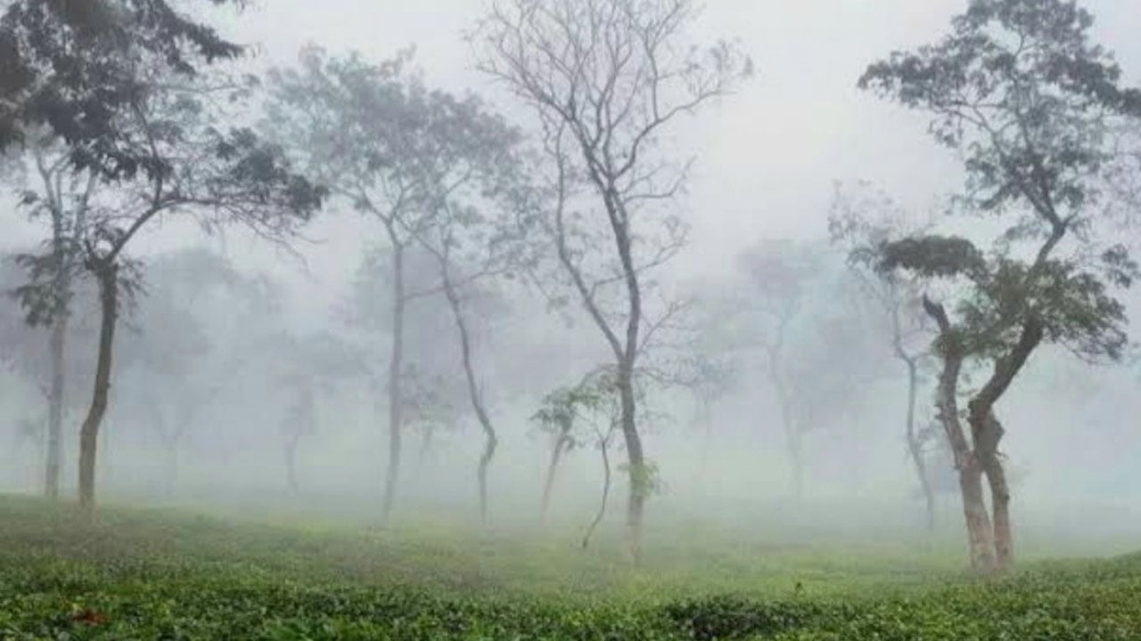 শ্রীমঙ্গলে দেশের সর্বনিম্ন তাপমাত্রা রেকর্ড, জনজীবন বিপর্যস্ত