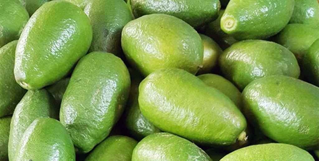 রমজান শুরুর আগেই লেবুর দাম চারগুণ বেড়ে হালি ১০০ টাকা