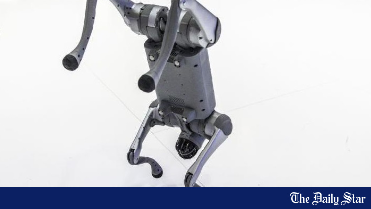 চীনা রোবটকে নিজস্ব উদ্ভাবন দাবি, এআই সম্মেলন থেকে বহিষ্কার ভারতীয় বিশ্ববিদ্যালয়