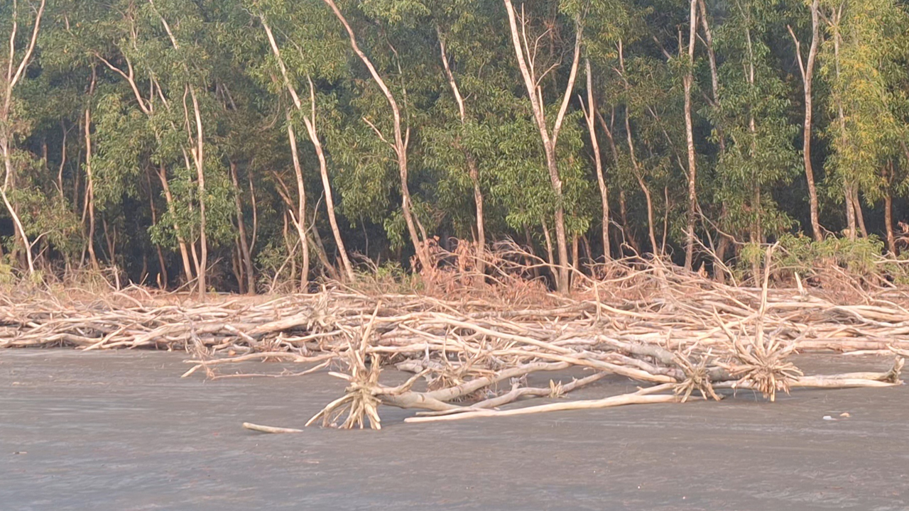 ভাঙনের কবলে বরগুনার শুভ সন্ধ্যা সমুদ্র সৈকত, পর্যটন সম্ভাবনা হুমকিতে