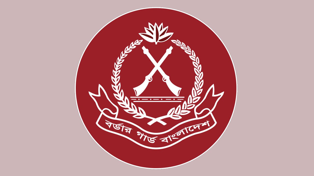 ফেব্রুয়ারিতে বিজিবির অভিযানে ১৩১ কোটি টাকার চোরাই পণ্য জব্দ