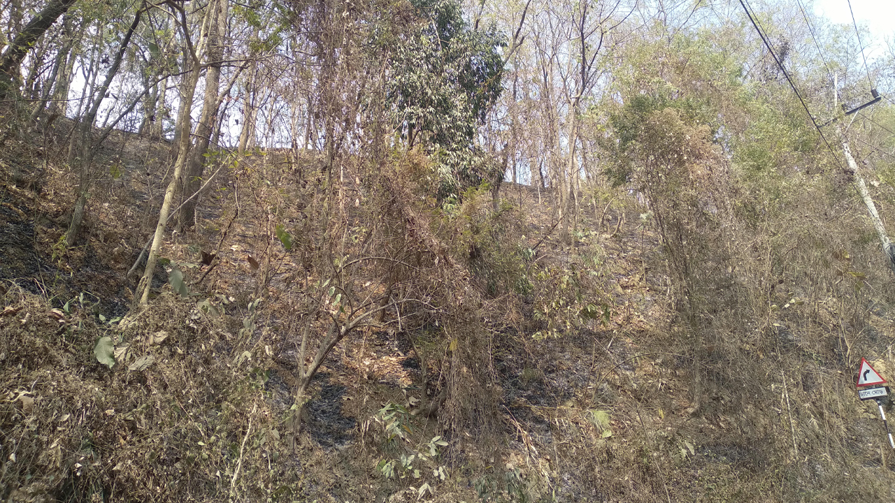 খাগড়াছড়ির পাহাড়ে আগুনের কারণে ক্ষতিগ্রস্ত হচ্ছে প্রকৃতি