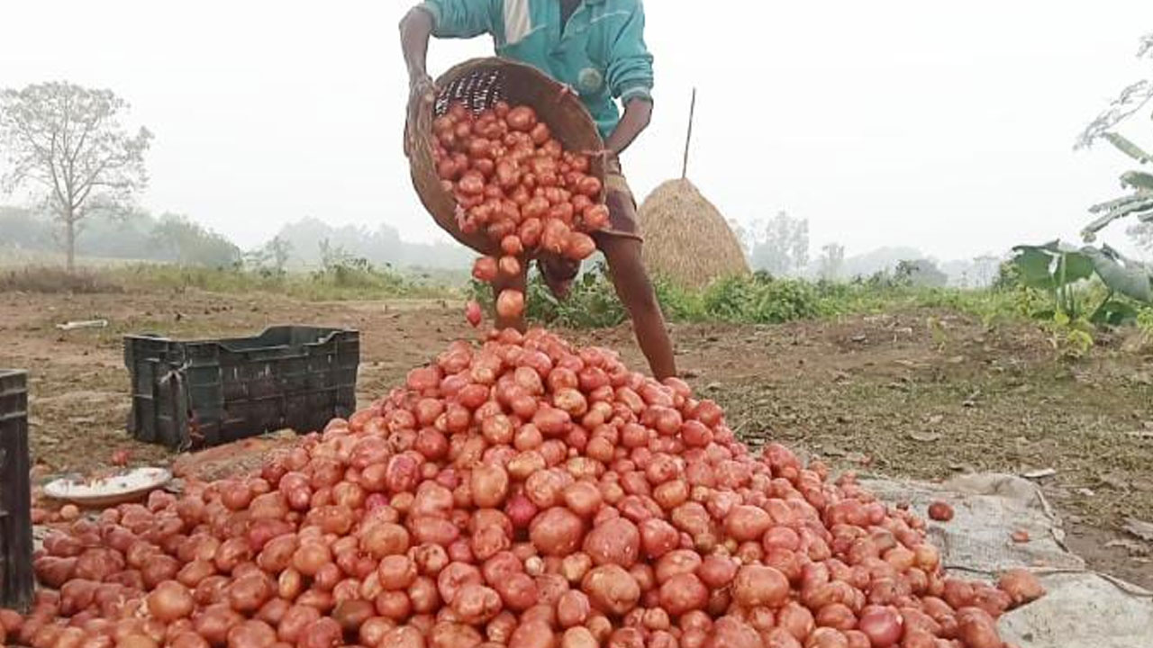 আলুর বস্তাপ্রতি ২০ টাকা চাঁদা দাবি স্বেচ্ছাসেবক দলের দুই নেতার
