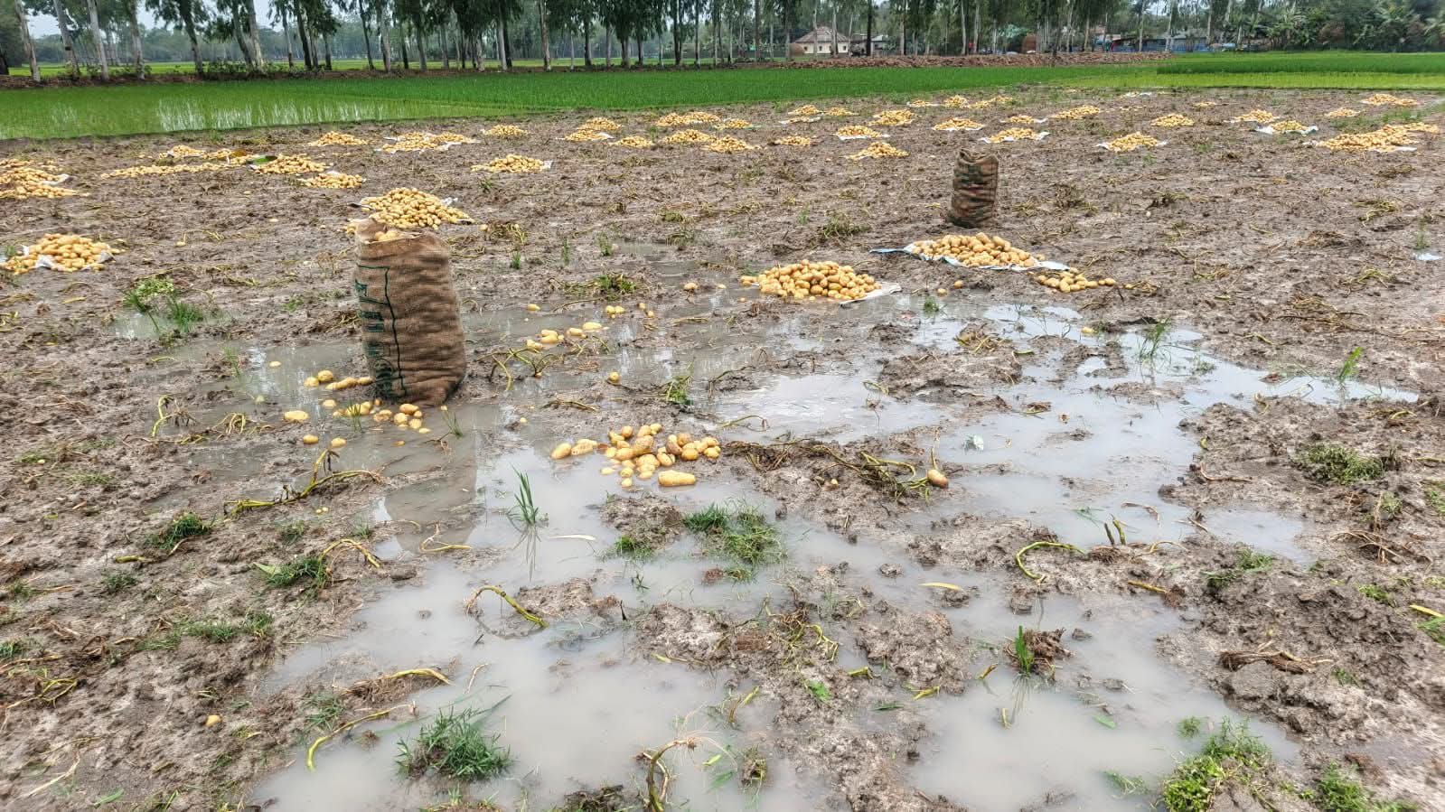 উত্তরাঞ্চলে বছরের প্রথম ভারী বৃষ্টি, ১৭ মার্চ পর্যন্ত চলবে ঝড়-বৃষ্টি