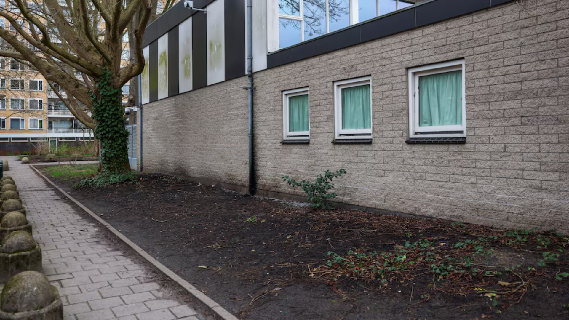 আমস্টারডামে ইহুদি স্কুলে বিস্ফোরণ