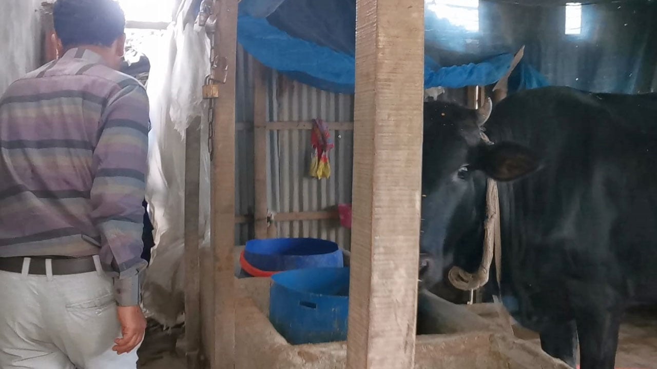 গোয়ালঘর থেকে পেট্রোল-অকটেন উদ্ধার