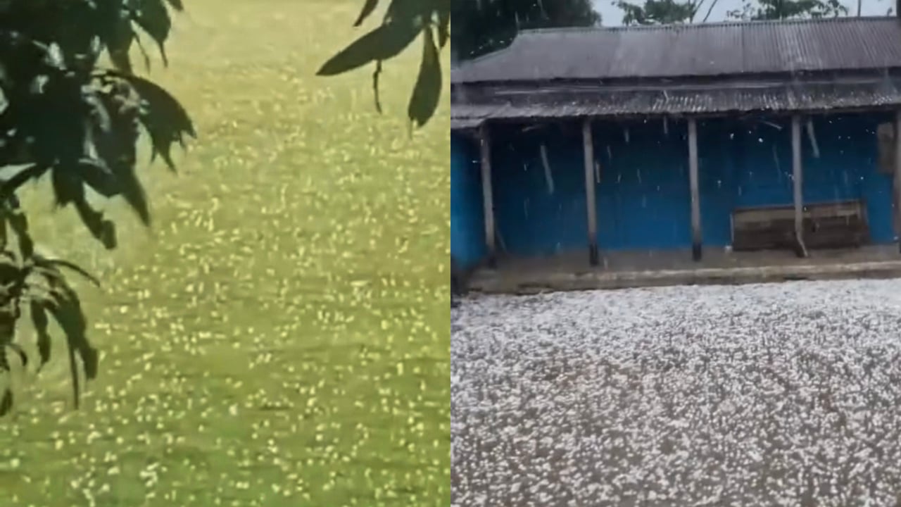 সুনামগঞ্জে ব্যাপক শিলাবৃষ্টি, ফসল নিয়ে শঙ্কায় কৃষক