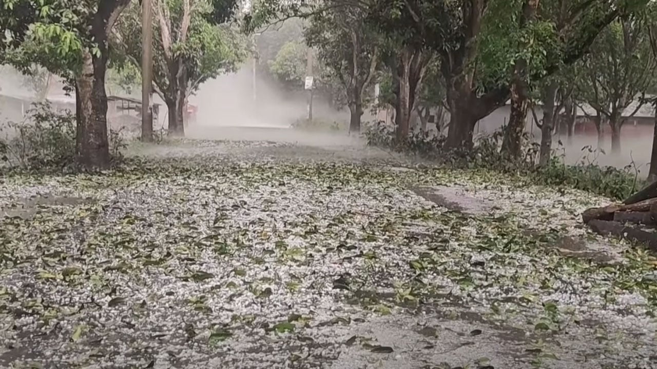 চাঁপাইনবাবগঞ্জে শিলাবৃষ্টিতে আম ও ধানের ব্যাপক ক্ষতি