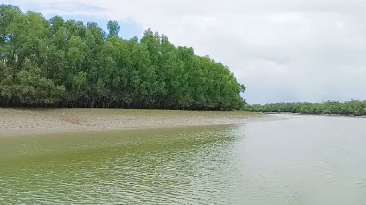 সুন্দরবনে ঝড়ে নৌকাডুবিতে নিখোঁজ ৪ মৌয়াল