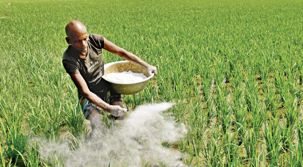 হরমুজ এড়িয়ে ইউরিয়া আমদানির চেষ্টায় বাংলাদেশ