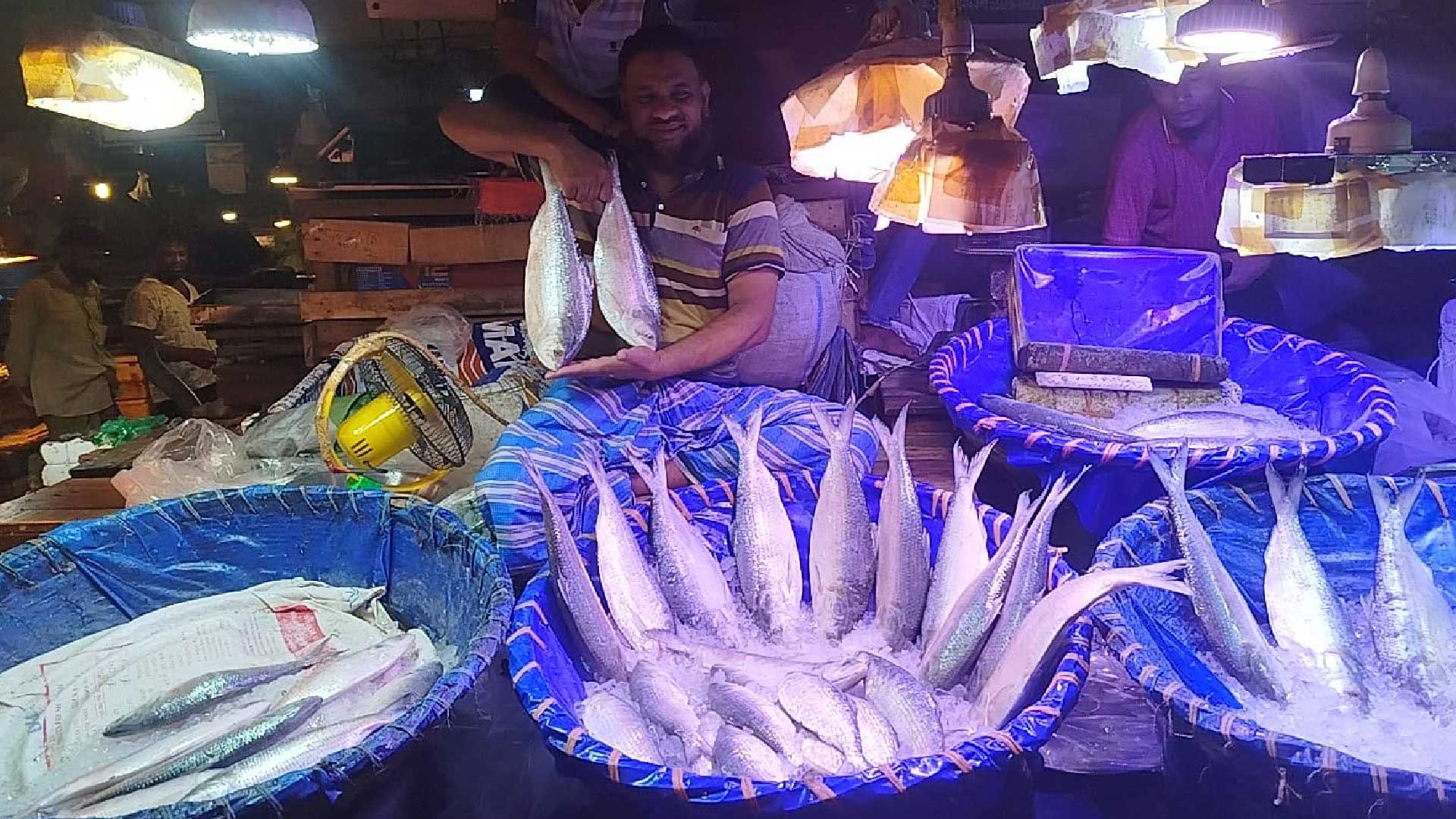 বাজারে বড় ইলিশের সরবরাহ কম, দামও চড়া