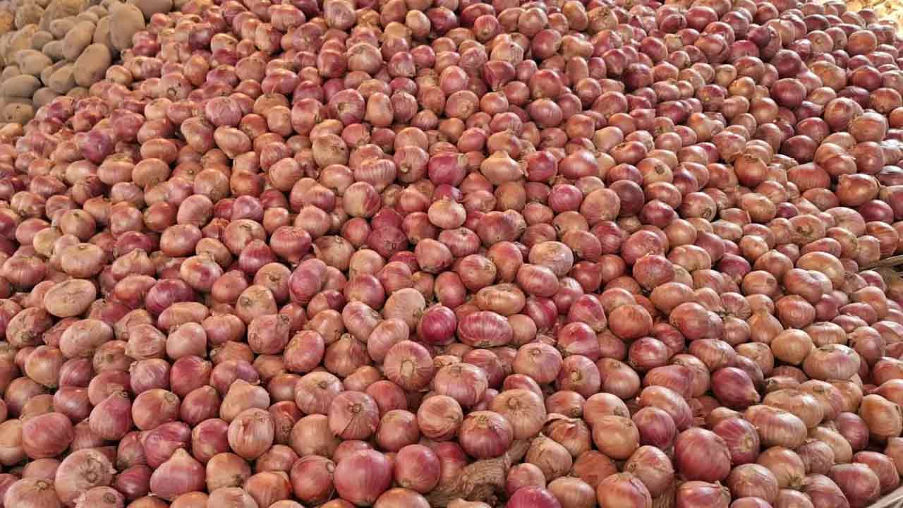 সঠিক সংরক্ষণ করতে না পারায় ২৫-৩০ শতাংশ পেঁয়াজ নষ্ট হয়ে যায়