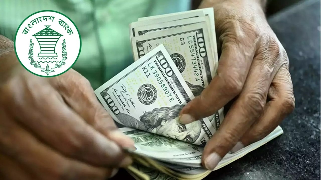 দেড় মাস পর কেন্দ্রীয় ব্যাংক ডলার কিনেছে