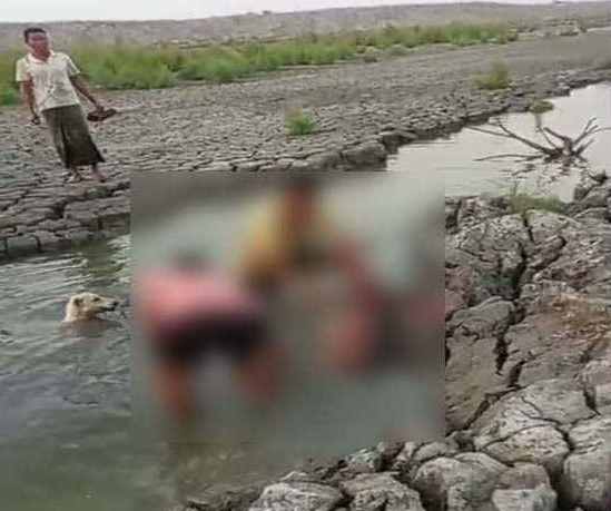 মিরসরাইয়ে হরিণ জবাইয়ের ঘটনায় জড়িত ৩ জন শনাক্ত, গ্রেপ্তারে চলছে