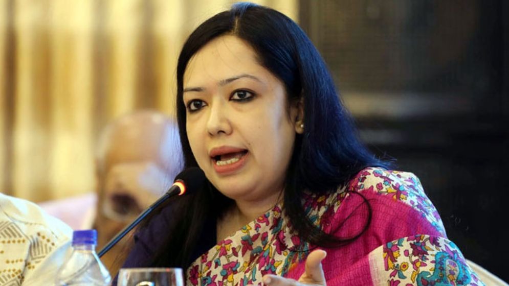 সংবিধান সংস্কার পরিষদের শপথ না নেওয়ার কারণ জানালেন রুমিন