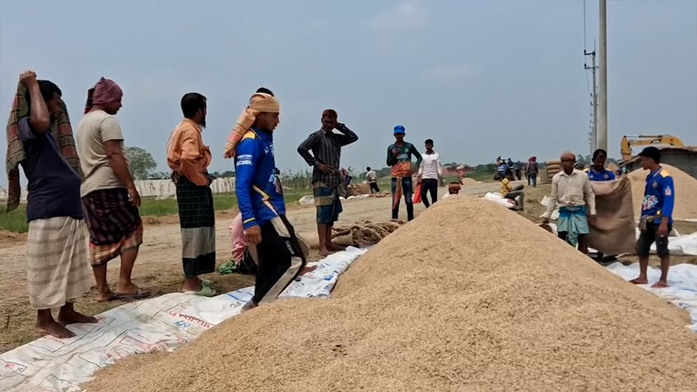 ৪০ কেজির মণ এখন ৪৫ কেজিতে, অসাধু ব্যাপারীদের খপ্পরে নেত্রকোনার