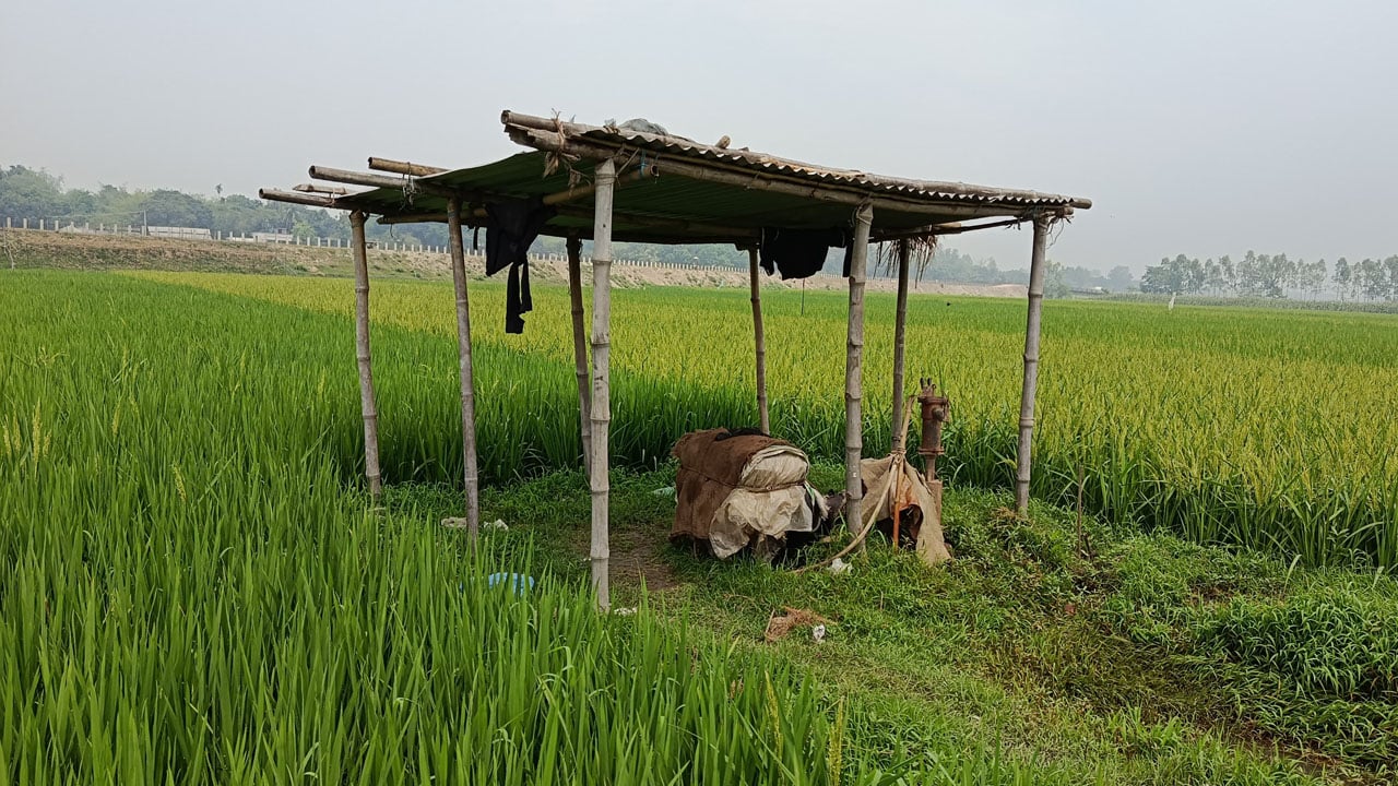 জামালপুরে অচল ২৮ হাজার সেচপাম্প, ঝুঁকিতে ৫০ হাজার হেক্টর বোরো আবাদ