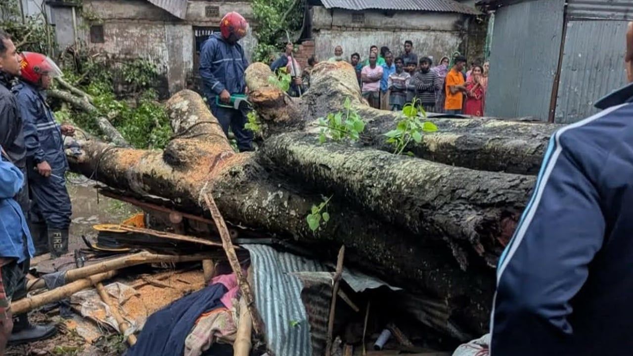 কালবৈশাখী ঝড়ে গাছচাপায় দোকানির মৃত্যু