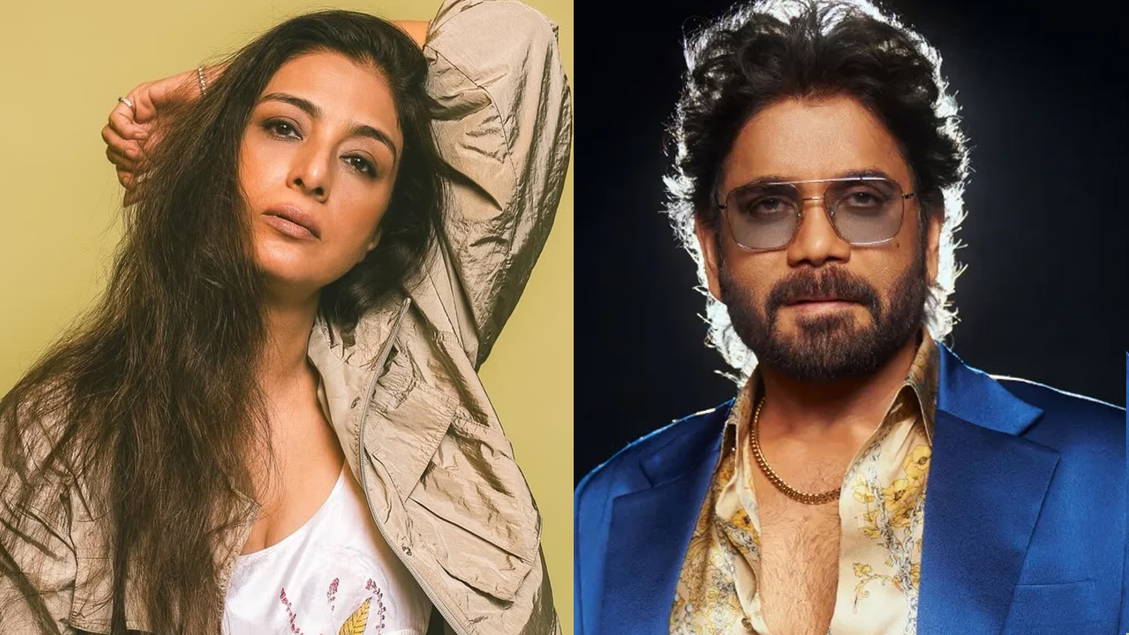 ২৮ বছর পর পর্দায় ফিরছেন নার্গাজুনা-টাবু জুটি