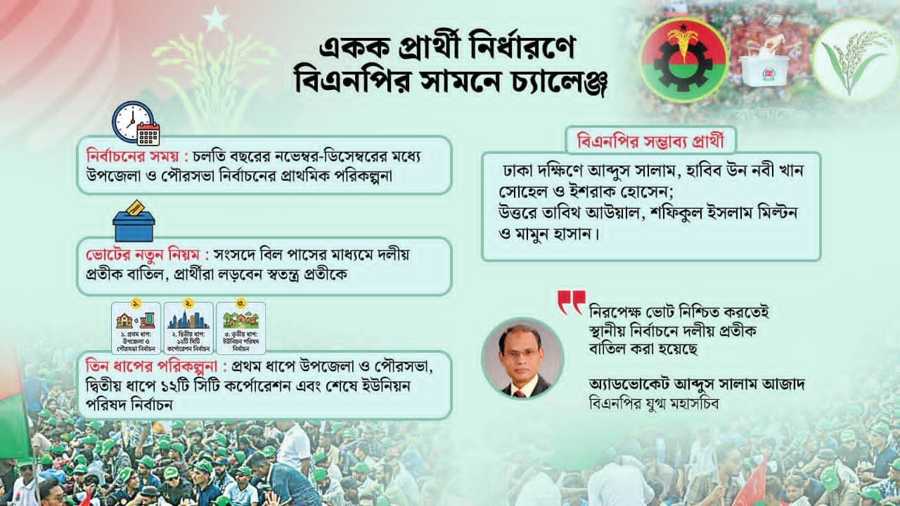 বছরের শেষদিকে স্থানীয় সরকার নির্বাচনের পরিকল্পনা সরকারের