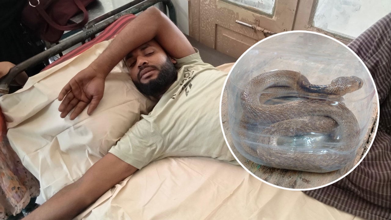 কামড় দেওয়া সাপ নিয়ে হাসপাতালে যুবক