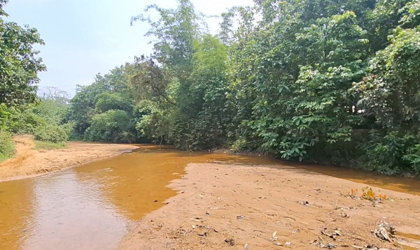 হাতির আক্রমণে যুবক নিহত