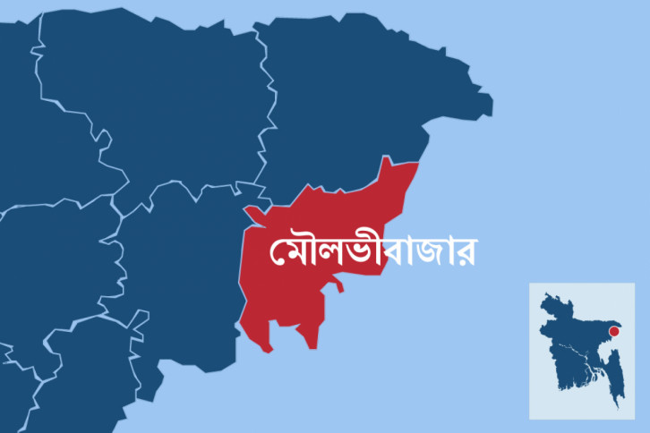 কুলাউড়া সীমান্ত থেকে ১০ জনকে বিজিবির হাতে তুলে দিলেন স্থানীয়রা