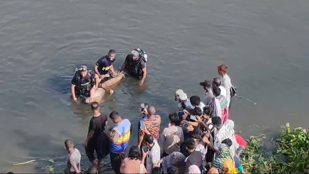 মেঘনায় গোসল করতে নেমে বিএফ শাহিন কলেজের ছাত্রের মৃত্যু