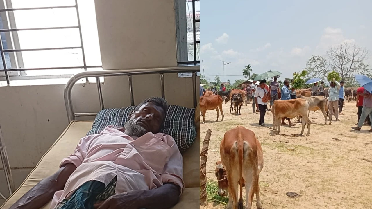 রাঙ্গামাটিতে পশুহাটে মলম পার্টির খপ্পরে দুই ব্যবসায়ী