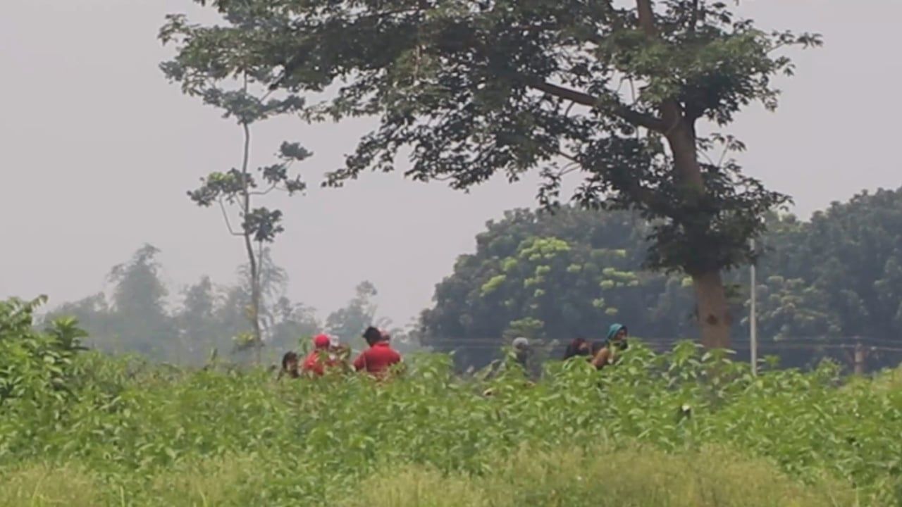 কুষ্টিয়ায় শূন্যরেখায় ১২ জনের মানবেতর জীবন কাটছে