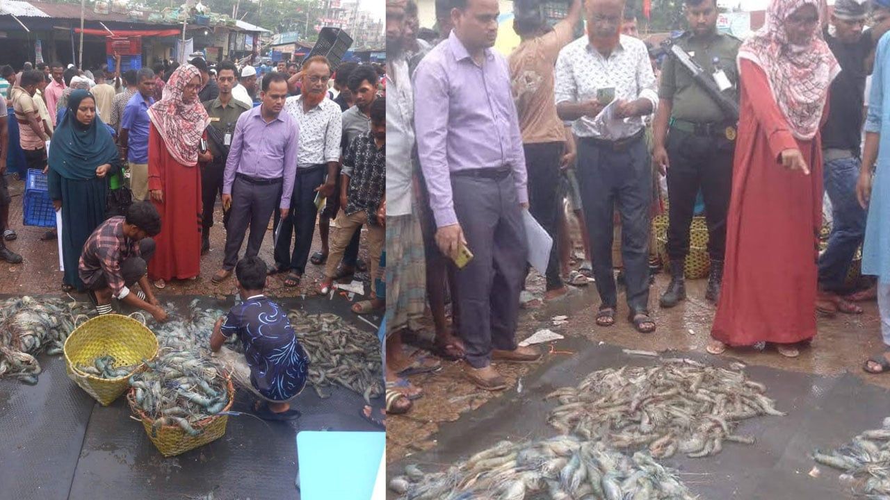 ফেনীতে জেলি পুশ করা দুই মণ চিংড়ি জব্দ, ব্যবসায়ীকে জরিমানা